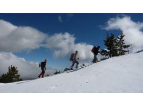 photo coins arrondis