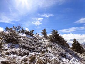 photo coins arrondis