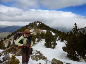 photo coins arrondis