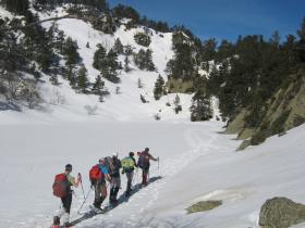 photo coins arrondis