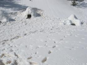 photo coins arrondis