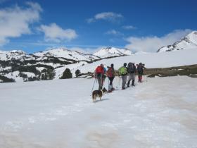 photo coins arrondis