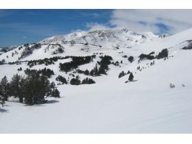 photo coins arrondis