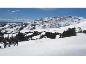 photo coins arrondis