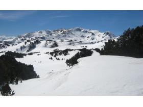 photo coins arrondis