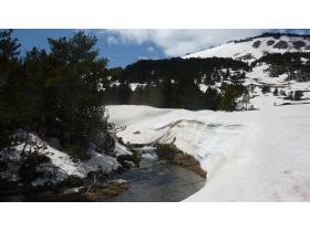 photo coins arrondis