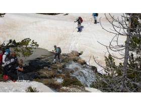 photo coins arrondis