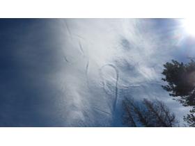 photo coins arrondis