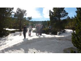 photo coins arrondis