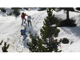 photo coins arrondis