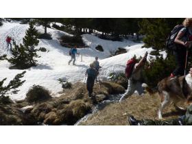 photo coins arrondis