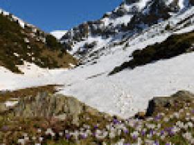 Image al&eacute;atoire