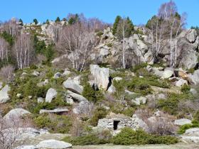 photo coins arrondis