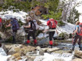 photo coins arrondis