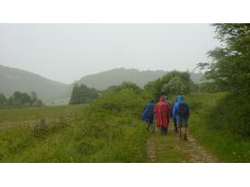 photo coins arrondis