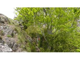 photo coins arrondis