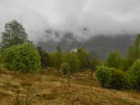 photo coins arrondis