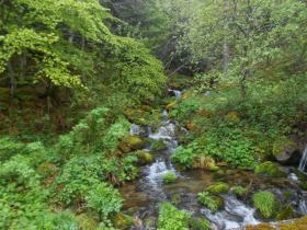 photo coins arrondis