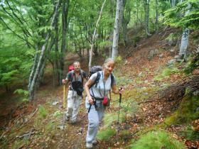 photo coins arrondis