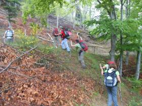 photo coins arrondis