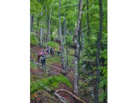 photo coins arrondis