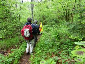 photo coins arrondis