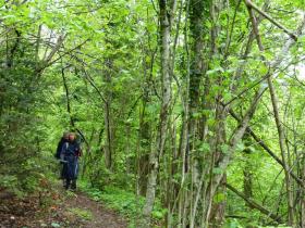 photo coins arrondis