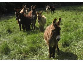 photo coins arrondis