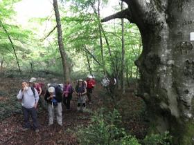 photo coins arrondis