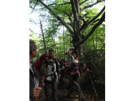 photo coins arrondis