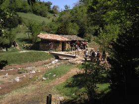 photo coins arrondis