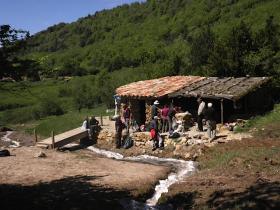 photo coins arrondis