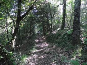 photo coins arrondis