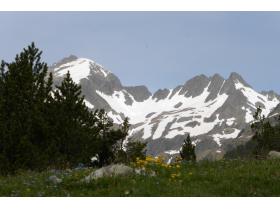 photo coins arrondis