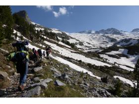 photo coins arrondis