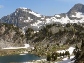 photo coins arrondis