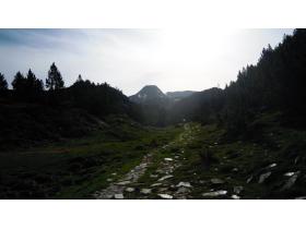 photo coins arrondis