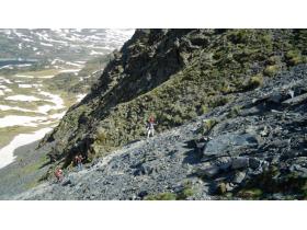 photo coins arrondis