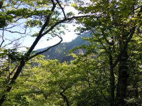 photo coins arrondis