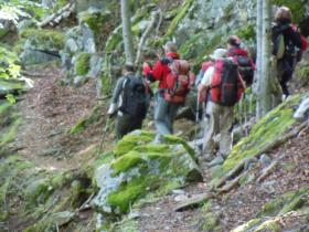 photo coins arrondis