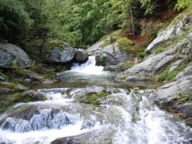 photo coins arrondis