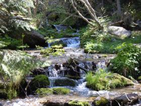 photo coins arrondis