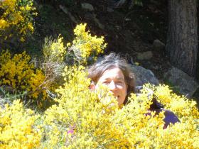 photo coins arrondis