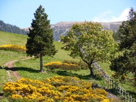 photo coins arrondis