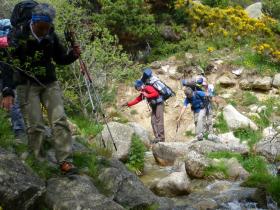 photo coins arrondis