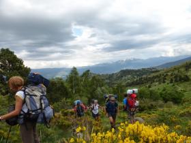 photo coins arrondis