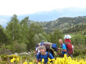 photo coins arrondis