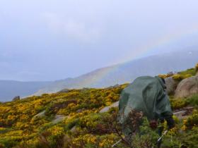 photo coins arrondis