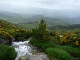 photo coins arrondis