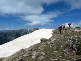 photo coins arrondis